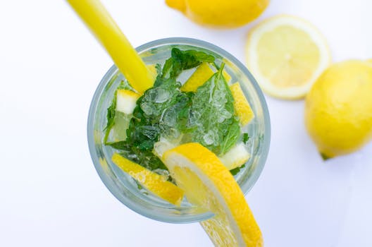 pexels-photo-298719-298719 A top view of a lemon and mint cocktail with ice in a glass, ideal for a refreshing summer drink.
